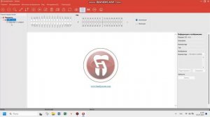 Обучение работе с программным обеспечением HandyDentist