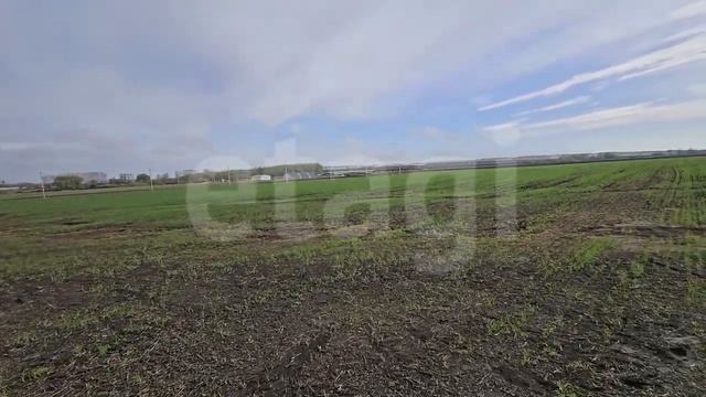 калмия, участок 1237 смотреть онлайн
