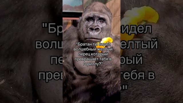 ГОРИЛЛА смотреть онлайн