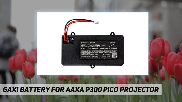 GAXI Battery for AAXA P300 Pico Projector AZ Review смотреть онлайн