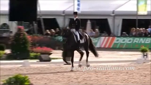 Dressage Horse - Totilas - Born This Way - Lady Gaga