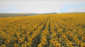 Видеофильм о нашем заводе