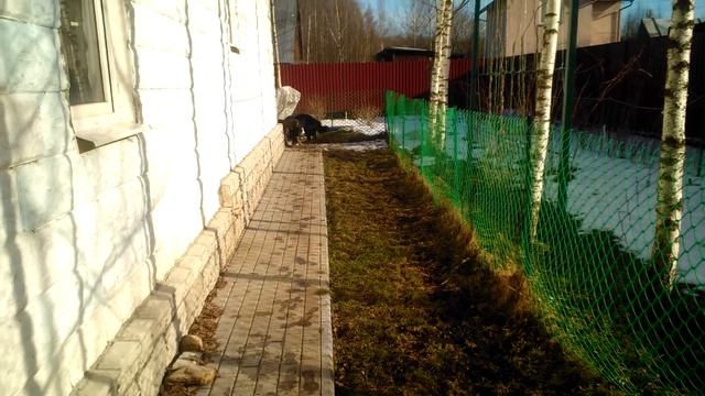 Нита бегает смотреть онлайн