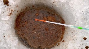 НАСЫПАЛ КОРИЦУ в ЛУНКУ...УДОЧКА ПОПОЛАМ в ГЛУХОЗИМЬЕ! Они пришли. Зимняя рыбалка