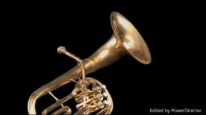 Baby Einstein - Meet the Orchestra: First Instruments (2006) Beethoven