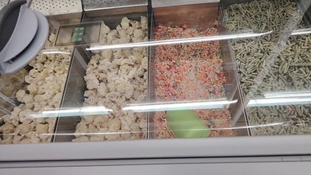 Ейск ! Вторая половина пятницы, Катя вывела меня на прогулку, где были, что купили, быстрый ужин ! смотреть онлайн