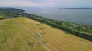 Ветряки, Калининград