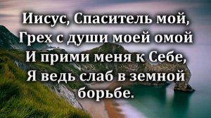 41. Иисус среди скорбей.