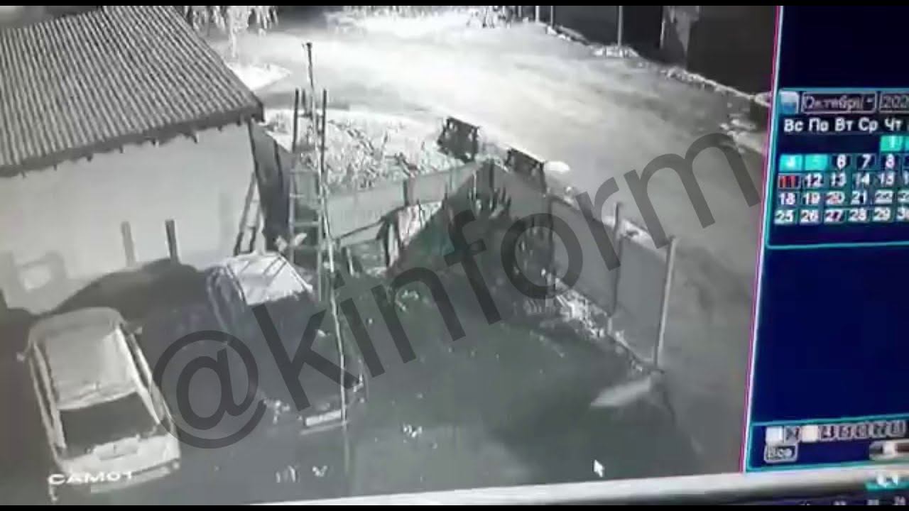 Опасное соседство с волками в Салыме смотреть онлайн