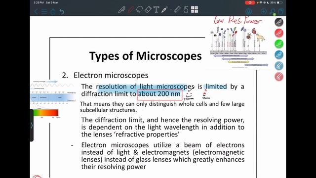 Ch3:Microscopy and staining (Fluorescence + Electron Microscopes) смотреть онлайн