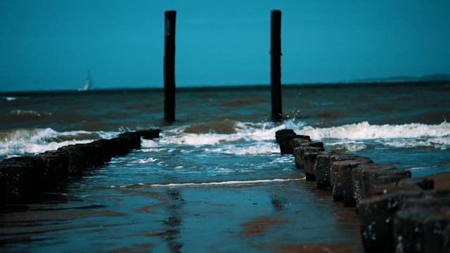 The Beach House - Sony A7SIII + Sony 90mm F2.8 Macro