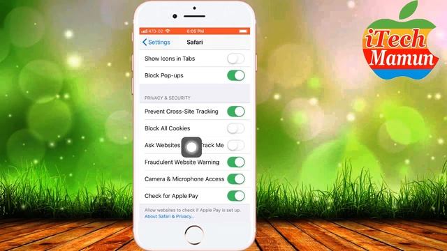 How to clear cache, cookies and history on your iPhone or iPad Saffari browser (Bangla) | iTechMamu смотреть онлайн