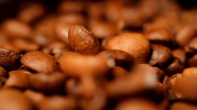Spot Caffe Excelsior смотреть онлайн