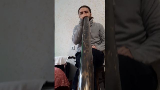 Роскошный диджериду Тьма И Золото из ясеня в До смотреть онлайн
