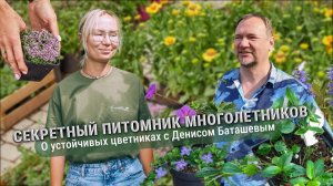 Секретный питомник многолетников. О устойчивых цветниках с Денисом Баташевым