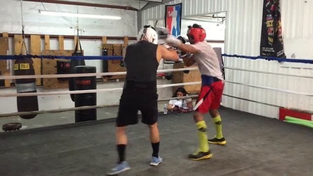 Henry sparring 1.1 смотреть онлайн