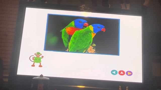 Baby Einstein: World Animals 2003 Hebrew DVD Menu смотреть онлайн