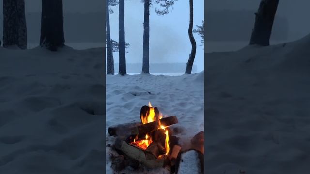 костер горит в лесу смотреть онлайн