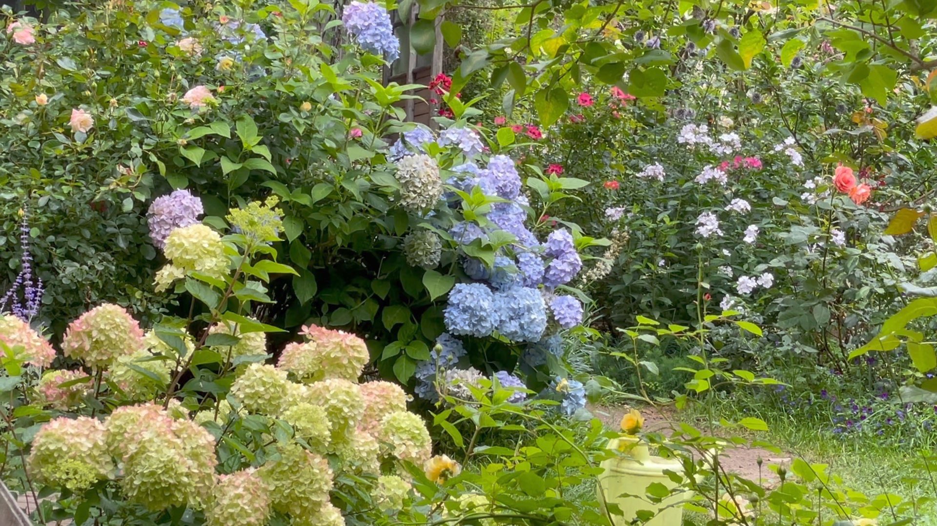 Август в Саду 28 августа 2023 часть 5