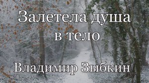 Владимир Зыбкин. стих - "Залетела душа в тело."