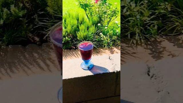 HIBISCUS TEA☕ vs FLOWER 🌺. #hibiscus #tea #flower #creative #views #yummy #shorts #art #fyp #viral смотреть онлайн