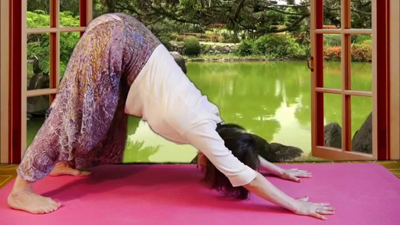 поза Собака мордой вниз йога видео | Адхо мукха шванасана поза горка