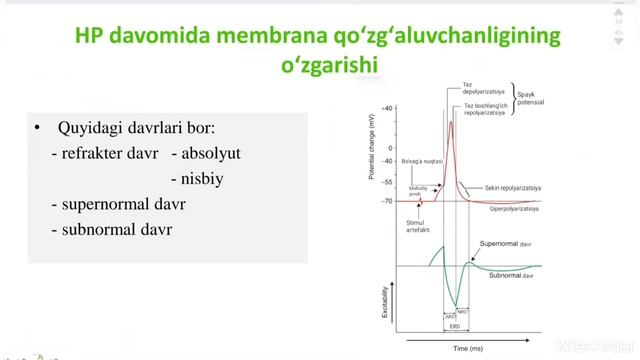 NERV FIZIOLOGIYASI | 2-QISM смотреть онлайн