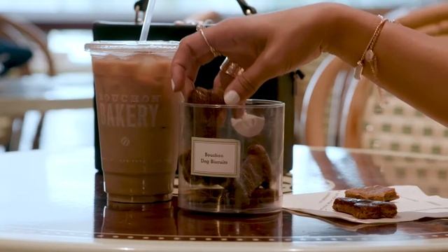 Dog Friendly with Krystal Bick @ The Shops at Columbus Circle. смотреть онлайн