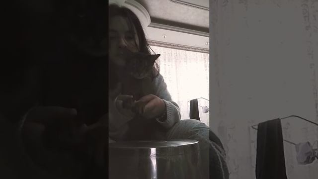 Эйнштейн 🩷🩷 смотреть онлайн