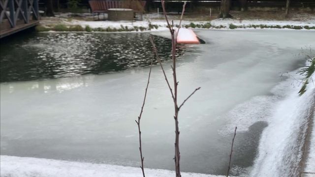 Прудовые новости.Зима.Январские морозы))) смотреть онлайн