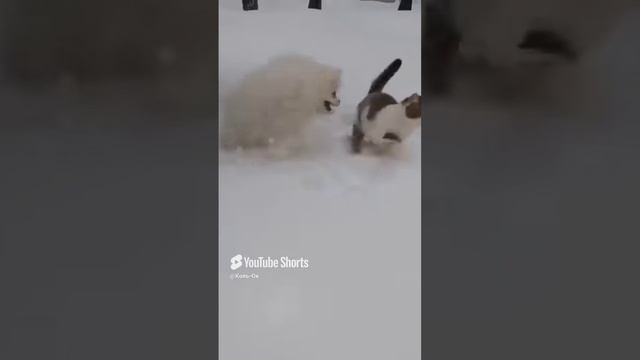 КОЛЬ-ОК (7) смотреть онлайн