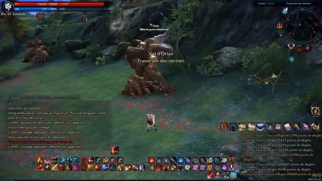Tera - Berserker Dps LvL 65 | Conseils et Bases [Lomitall #210] смотреть онлайн