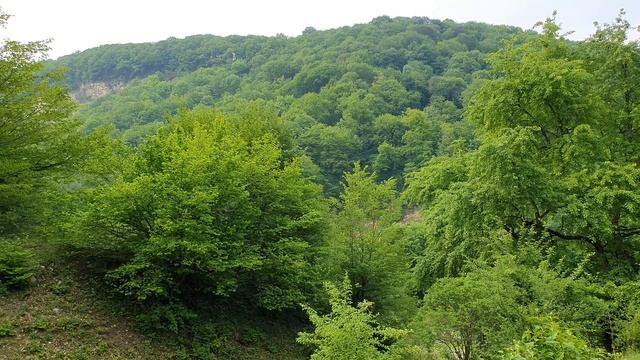 Nature sounds in a Mountain village in the Morning смотреть онлайн