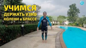 Плавание брассом: учимся держать колени узко при толчке ногами! Для чего это делать и как?