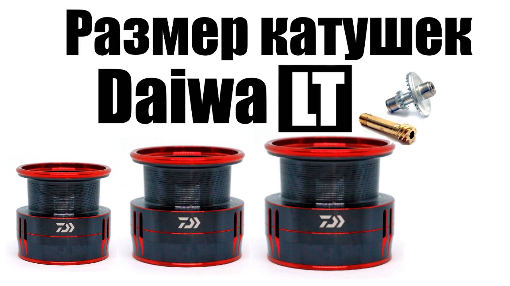 Daiwa LT - КАКОЙ РАЗМЕР ВЫБРАТЬ ! смотреть онлайн