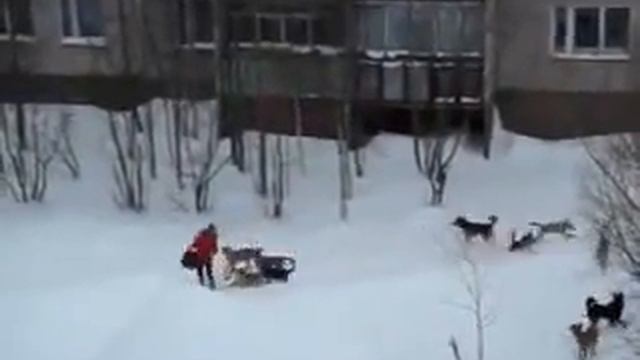 малахов тролит малышеву.flv смотреть онлайн
