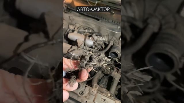 Жесть ! Сцепление порвало в тряпки не переключаются передачи