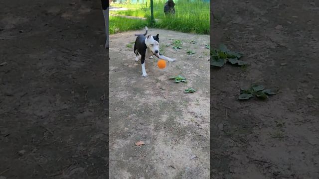 Прогулка Зимы 06 26 2024 смотреть онлайн