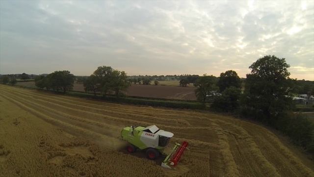Claas Tucano combining oats 2015 смотреть онлайн