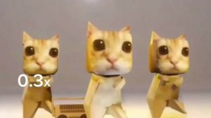 Коты танцуют разные версии #кот #котики #мем