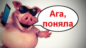 Салокапитал есть? Мошенник звонят по телефону