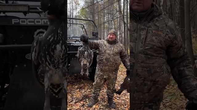 Охота на Глухаря смотреть онлайн