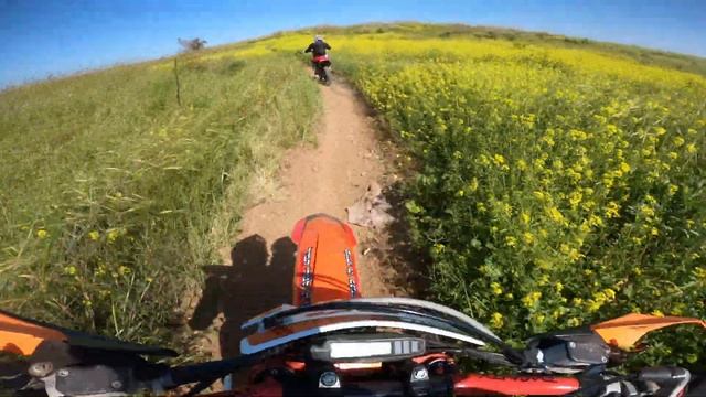WEEKEND RIDE WITH SOME FRIENDS | KTM EXC 300 2017 DAL SOGGIO SPHERE & SMARTCARB 2 - ENDURO RIDING смотреть онлайн