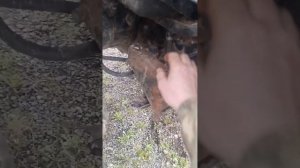 неисправность блокировки трактора мтз1221 ,причины ,решение проблемы