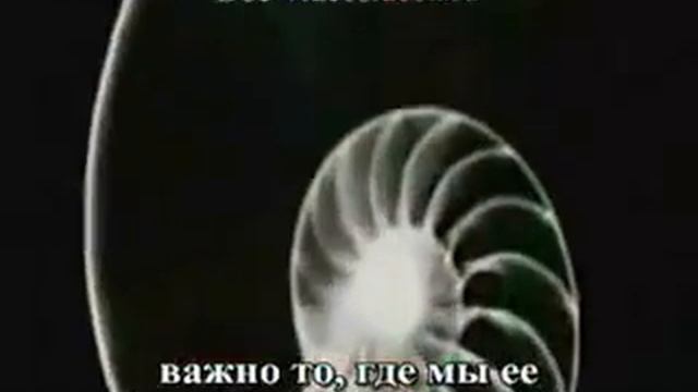 система чисел Фибоначчи смотреть онлайн