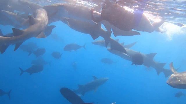 19 января 2020 г. смотреть онлайн