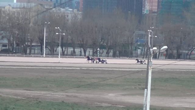 Московский ипподром. Бега. 26.11.17. Заезд 6(700) смотреть онлайн