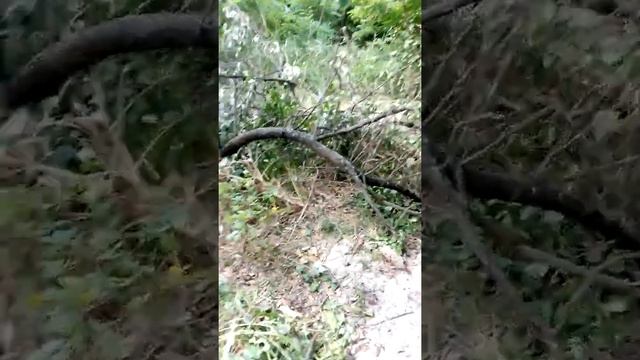 Захват природної зони в місті Дніпро!! Ч.О. смотреть онлайн