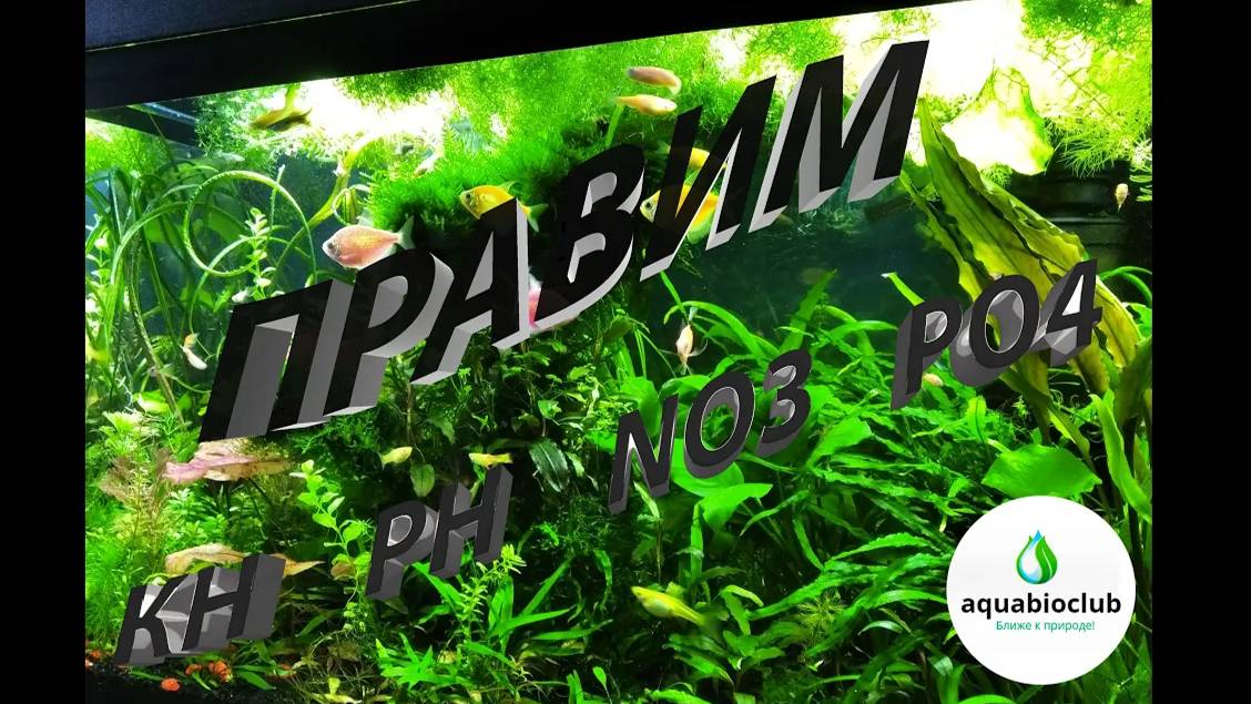 Правим #параметры воды в #квариуме. КН, PH, GH, NO3, PO4. смотреть онлайн