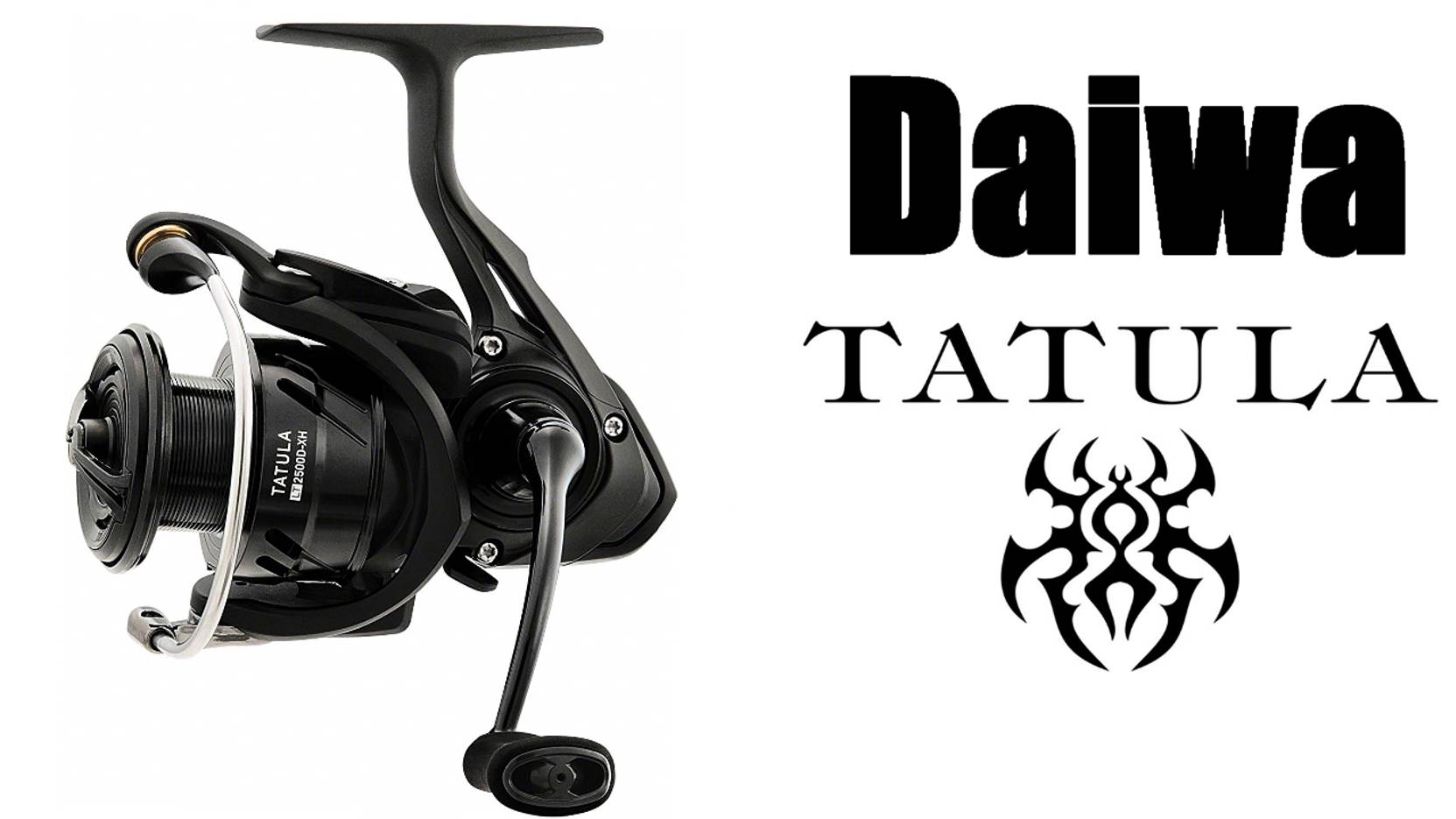 Daiwa Tatula LT ОБЗОР смотреть онлайн